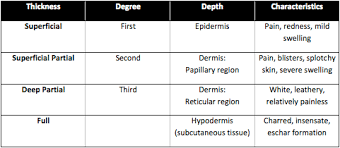 Superficial Partial Thickness Second Degree Burns Woundsource