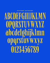 Orlando avenue, cocoa beach, florida. Neue World Free To Try Font With 48 Styles Variable Font Pangram Pangram Foundry
