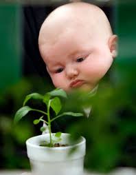 Norman Farmer's Market Opens