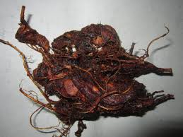 Dakhar Aka Tamarind Is Used As A Side Sauce For Rice Or A My Favorite Juice Senegalesetaste Real Food Recipes Africa Food West African Food
