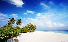 Explore istock™ by getty images. Nature Beach Wallpapers Top Free Nature Beach Backgrounds Wallpaperaccess