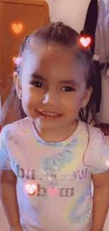 Search and Rescue Operation Update with K9 Assistance