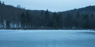 Adamah Meditation Retreat