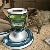 Interact with your cat once you've created your puzzle feeder and your cat begins to. Food Puzzles For Cats Good For Mind And Body Feline Behavior Solutions Cat Behaviorist