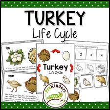 Need some easy thanksgiving activities for toddlers & preschoolers ? Thanksgiving Science Worksheets Teaching Resources Tpt