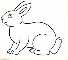 Gambar kelinci memang banyak sekali sketsanya hal ini dikarenakan menggambar binatang yang satu ini memang cukup mudah. 30 Ide Kucing Kelinci Sketsa Gambar Hewan Asiabateav