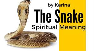 Snakes Spiritual Meaning I What It Means When You See A Snake Spiritual Meaning Spirituality Meant To Be