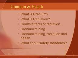 The uranium minerals produced a number of uranium ions (species) that could dissolve in the fluids. Uranium Health Radiation And Mining Ppt Download