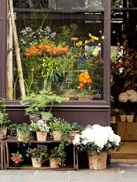 The peace lily is ideal for an office space that lacks big windows. Garden Plants Store Near Me