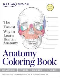 Download Kaplan Anatomy Coloring Book Seventh Edition Kaplan 9781506250274