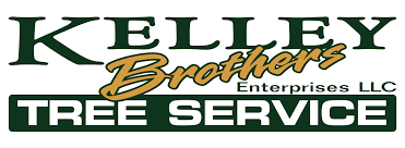 Maybe you would like to learn more about one of these? Professional Lot Clearing Forestry Mulching Pittsfield Great Barrington Ma Kelley Brothers Tree Service