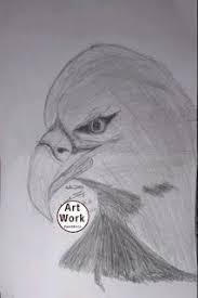 رسومات فنية سهلة للاطفال رسم صقر drawings how to draw a hawk art