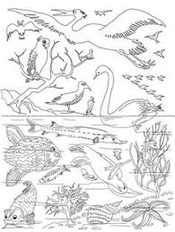 5th Day Of Creation Coloring Page Free Printable Coloring Pages Miraculous Ladybug Comic Miraculous Ladybug Memes Miraculous Ladybug Funny