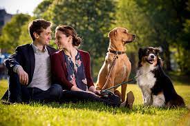 Two Dogs Fall In Love At A Park And So Do Their Owners