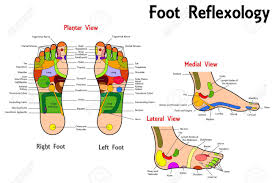 reflexology foot chart