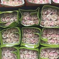 See reviews, photos, directions, phone numbers and more for the best florists in north andover, ma. 150 Flowers By Les Fleurs Other Goodies From Our Little Shop In Andover Ma Ideas Le Fleur Flowers Floral Flowers
