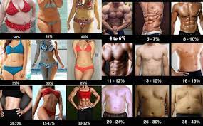 Where does your body fat fit in the table? Body Fat Percentage Pictures Of Male And Female With Analysis