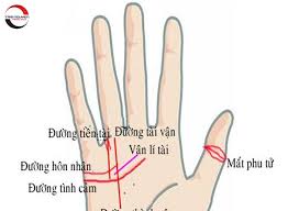 Tự chủ trong tài chính, công việc của mình. Xem Chá»‰ Tay Ä'Æ°á»ng Hon Nhan Tren Ban Tay Nam Ná»¯ Biáº¿t TÆ°Æ¡ng Lai