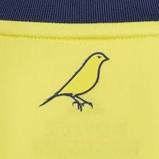 Fenerbahçe sk players wear this adidas football jersey when the team is on the road. Adidas Fenerbahce Sk 20 21 Home Jersey Yellow Adidas Turkey