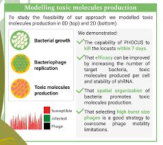 I certainly have mixed opinions on it. Team Tudelft Poster 2020 Igem Org