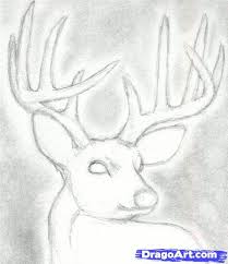 How To Draw A Deer Head Buck Dear Head Step By Step Realistic Drawing Technique Free Online Drawing Tutorial Deer Drawing Deer Sketch Deer Drawing Easy
