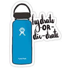 Hydrate Or Die Dyrate Hydroflask Sticker By Cordiallylily Hydroflask Stickers Hydroflask Hydro Flask Accessories