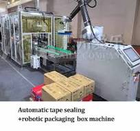 Case Packing Machine For Aerosol Cans or Bottle - Aile