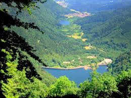 Follow the latest news on the social networks. Why You Should Visit The Vosges Mountains French Moments Vosges Departments Of France Regions Of France