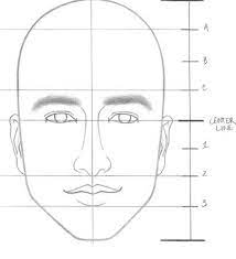 How to proportion a face / the ideal proportions according to lookism.in exercise 1, you'll do some introductory. How To Draw A Proportional Face Quora