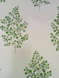 Behang Witte Achtergrond Met Fris Groene Blaadjes Die Een Blad Vormen Behang Witte Achtergrond Groen