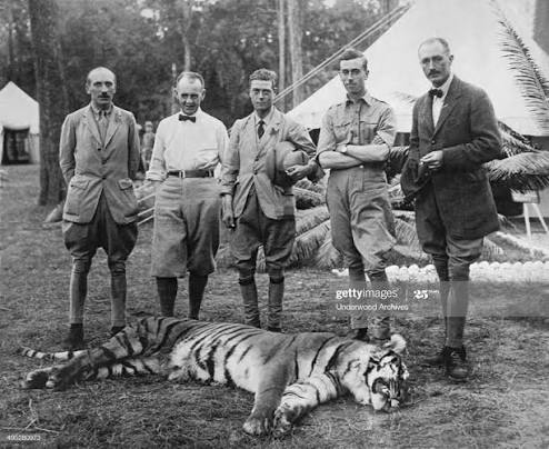 The Prince of Wales and his prize tiger that he shot on his hunting expedition into the Himalayas, Nepal, January 29, 1922. From left. Lord Cromer, Sir Lionel Halsey, The Prince of