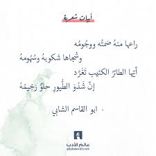 كلمات شعرية قمة الروعة لابي القاسم الشابي عالم الأدب Arabic Quotes Words Poems
