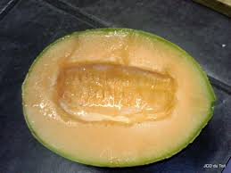 Check spelling or type a new query. Muskmelon Cucumis Melo Inaturalist