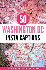 Maybe you would like to learn more about one of these? 50 Best Washington Dc Quotes To Inspire Your Trip To America S Capital In 2021 The Wanderlust Within