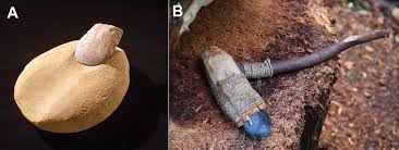 Possible wood-working tools from Japan: A) an edge-ground stone axe and...  | Download Scientific Diagram