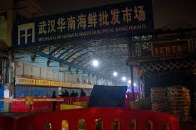 He said again, singapore government has also made the spread of this dangerous virus as attention. Japan And Thailand Confirm New Cases Of Chinese Coronavirus The New York Times