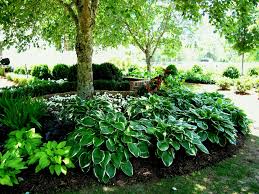 Square Flower Bed Ideas Landscape Designs Pineville Front Garden 5 Simple Plans For A Small Shade Garden A Shade Landscaping Shade Garden Shade Garden Design