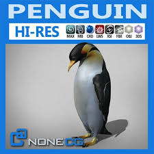 Penguin Penguins Cute Designs To Draw Cinema 4d