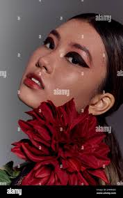 Asian dahlia immagini e fotografie stock ad alta risoluzione