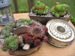 Succulent plants are perfect for decorating your home. Diy Planters Ideas On A Budget For Beautiful Garden 1401 Succulents Plants Beautiful Gardens