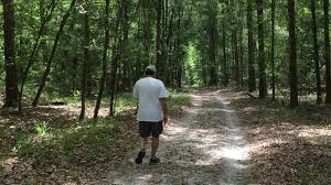 River rise preserve state park high springs, florida 32643 equestrians can explore over 20 miles of trails and end the day camping overnight with their horses. River Rise Preserve State Park Florida State Parks