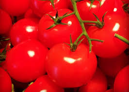 Tomatoes Benefits Facts And Research Tomato Nutrition Tomato Healthy