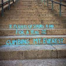 Pin On The Elite Fitness Page