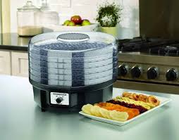 The Best Food Dehydrator Reviews Diy Healthy Snacks