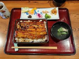Learn japanese n4 grammar ように・ような (you ni/you na). ã†ãªãŽã é'å±± ã†ãªãŽ é£Ÿã¹ãƒ­ã‚°