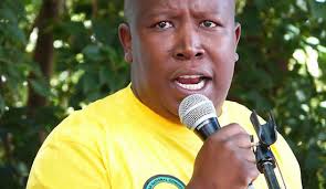 Former president zuma is defying a constitutional. Edward Zuma Demands Apology From Malema The Herald