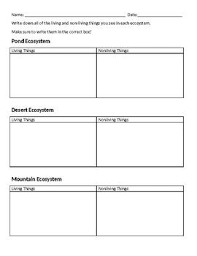 I Created This Simple Graphic Organizer To Accompany Caitlin Jeffas S Youtube Video Ecosystems Activity As Stude Ecosystem Activities Ecosystems Activities