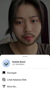 Cat with Beard Filter