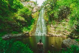 I Healed My Addiction With Plant Medicines And Ayahuasca Evolving Man Coaching And Counselling Addiction Recovery Relationships Men S Work Ayahuasca is a loving intelligence for intelligent loving. i healed my addiction with plant