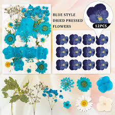 They are noted for retaining their beautiful white color for many years. Buy Whaline 100pcs Natural Dried Flower Leaves Set 6 Pack Mixed Real Pressed Flowers Pink White Blue Decorative Pressed Petals Leaves Assorted Sizes Dried Flowers For Diy Resin Candle Soap Nail Art
